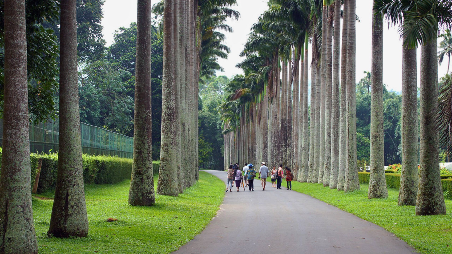 Kandy Tooth Relic: A Sacred Treasure