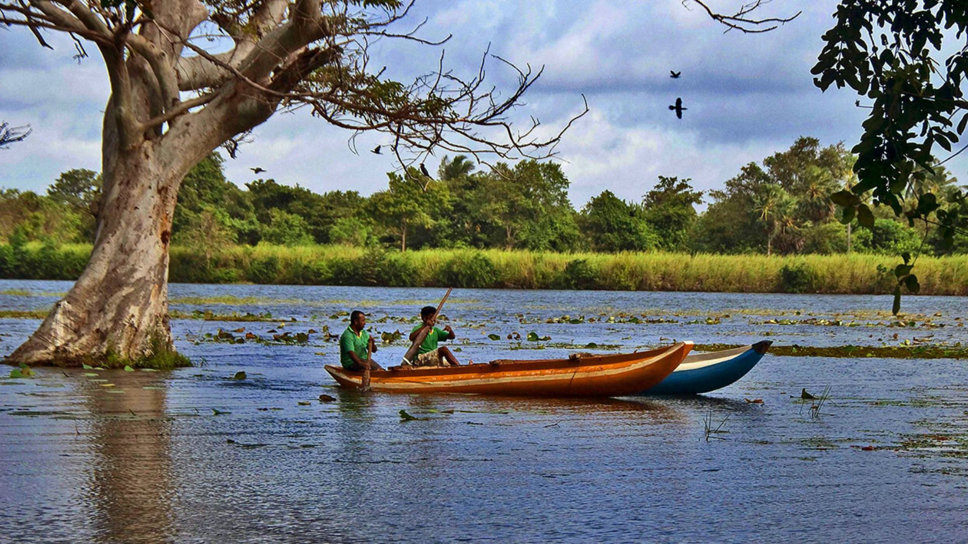 Habarana: A Gateway to Culture and Nature