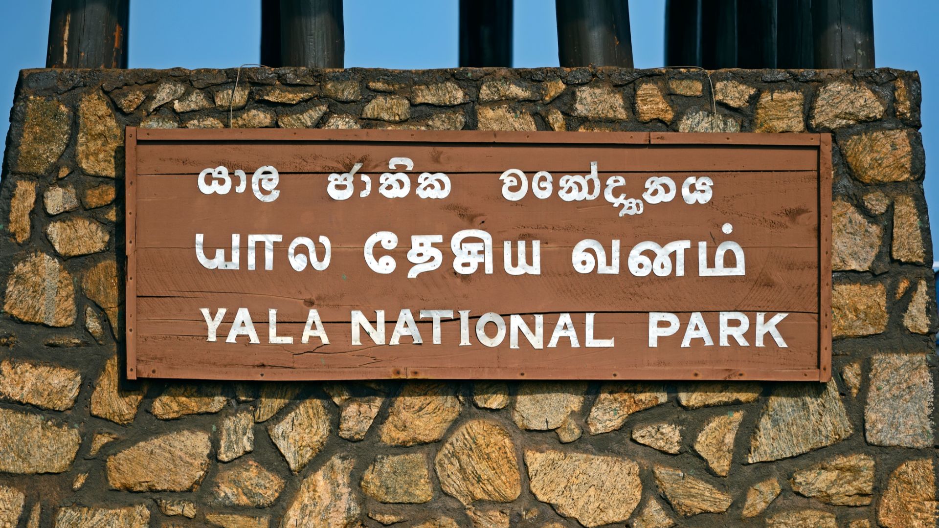 Yala National Park: A Wildlife Wonderland in Sri Lanka
